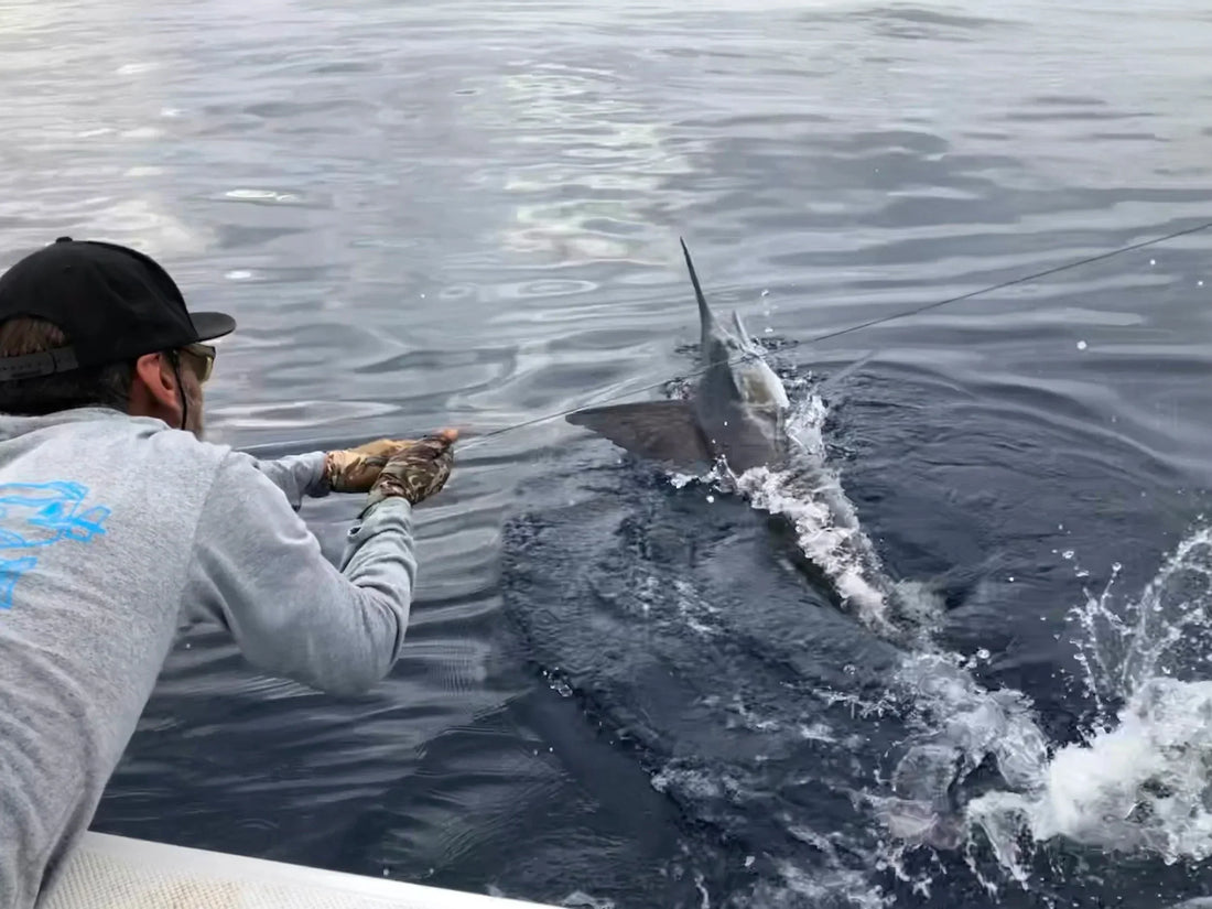 Magdalena Bay Fly Fishing Expedition — Baja California Sur